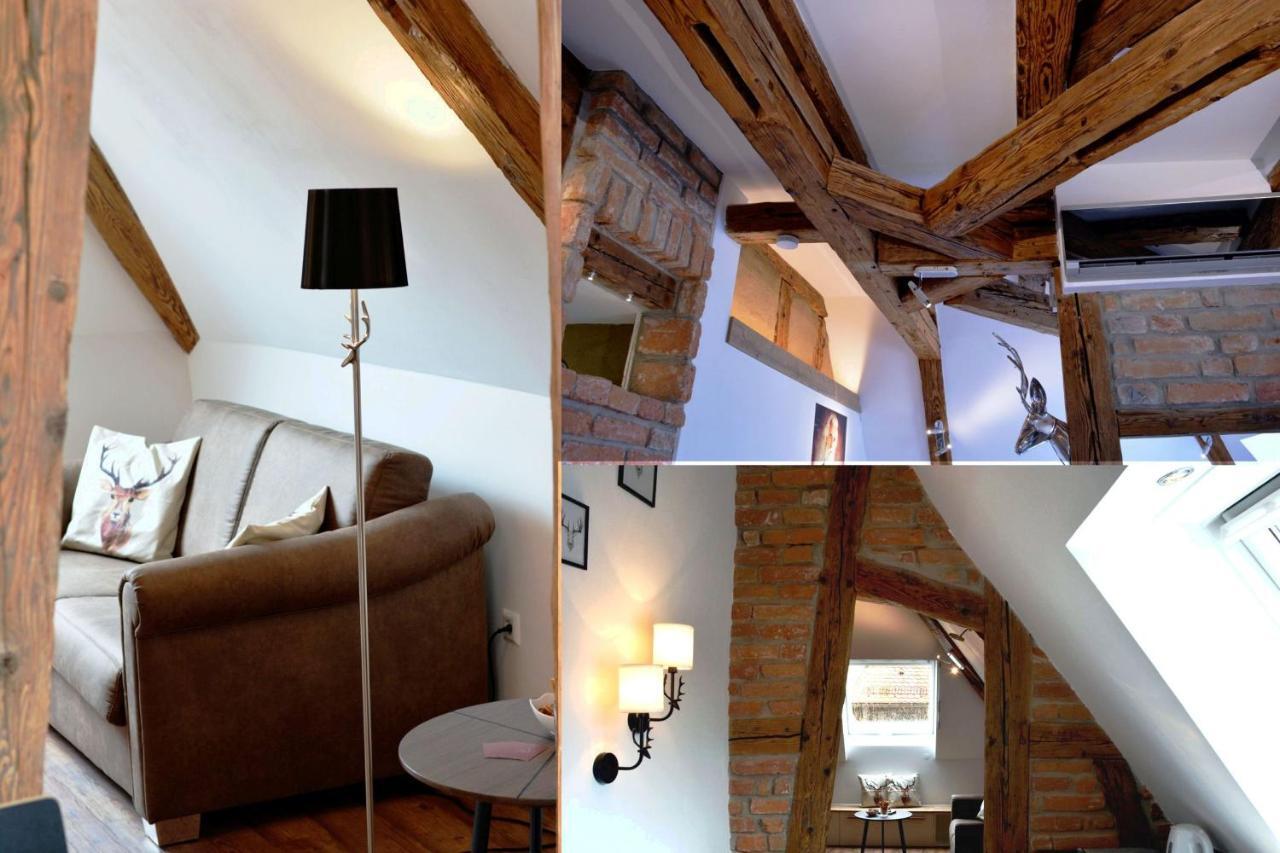 Apartment Roser *